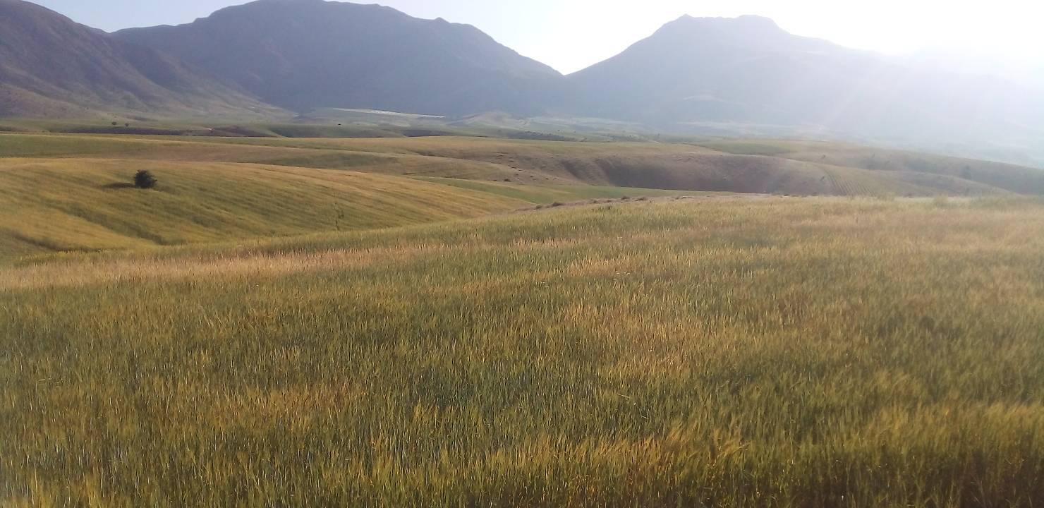 طبیعت روستای جغدان در بهار