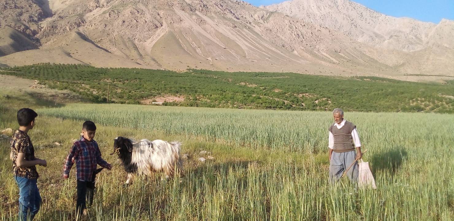 طبیعت بهاری