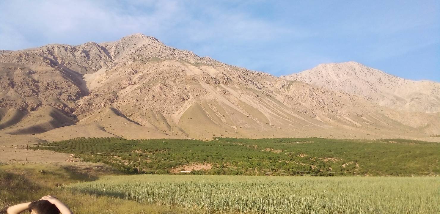 طبیعت روستایی