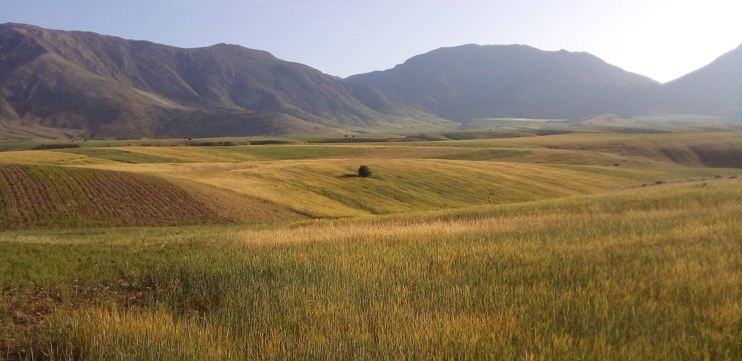 طبیعت بهاری روستای جغدان