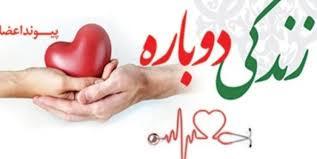 ثبت ۲۰ مورد اهدای عضو در دانشگاه علوم پزشکی اردبیل