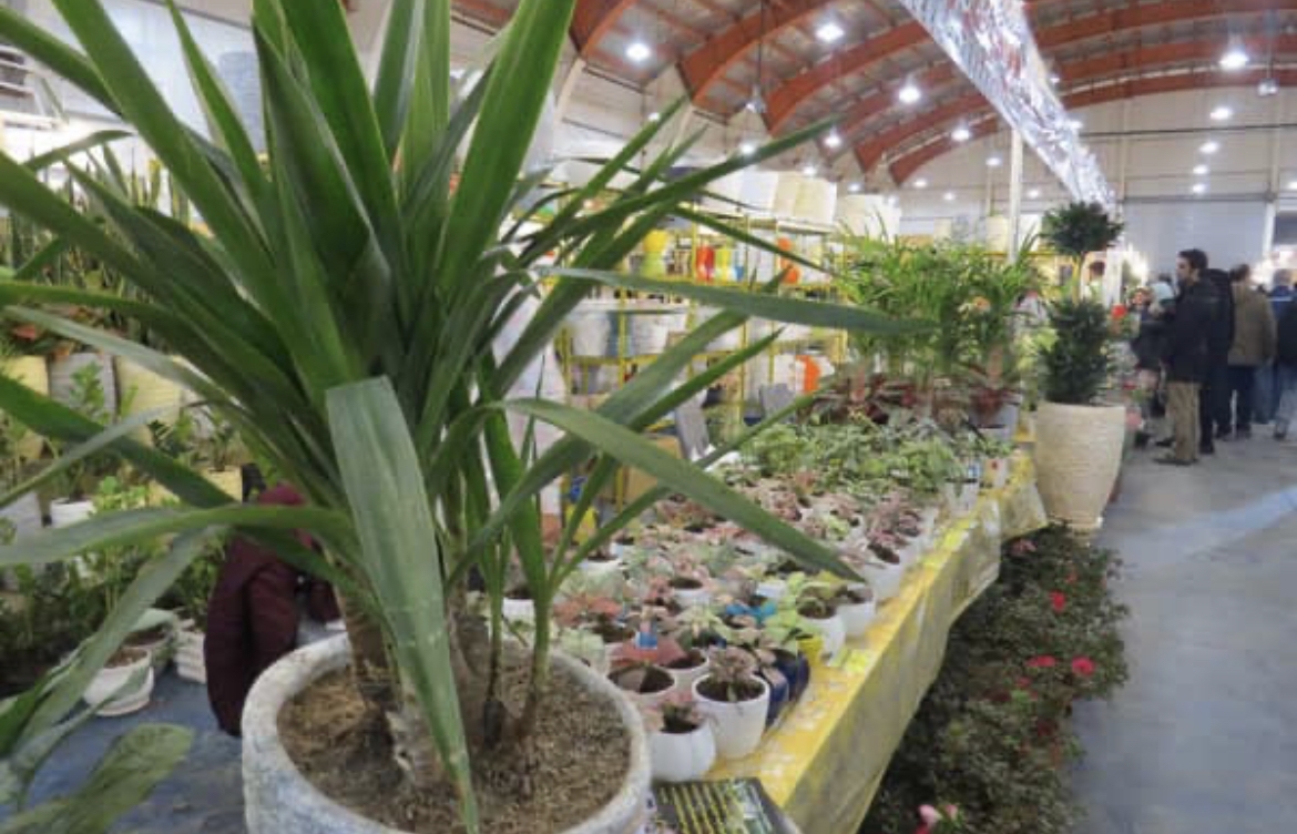 ایجاد ۲۵ طرح بنگاهی در حوزه گل وگیاه در استان مرکزی