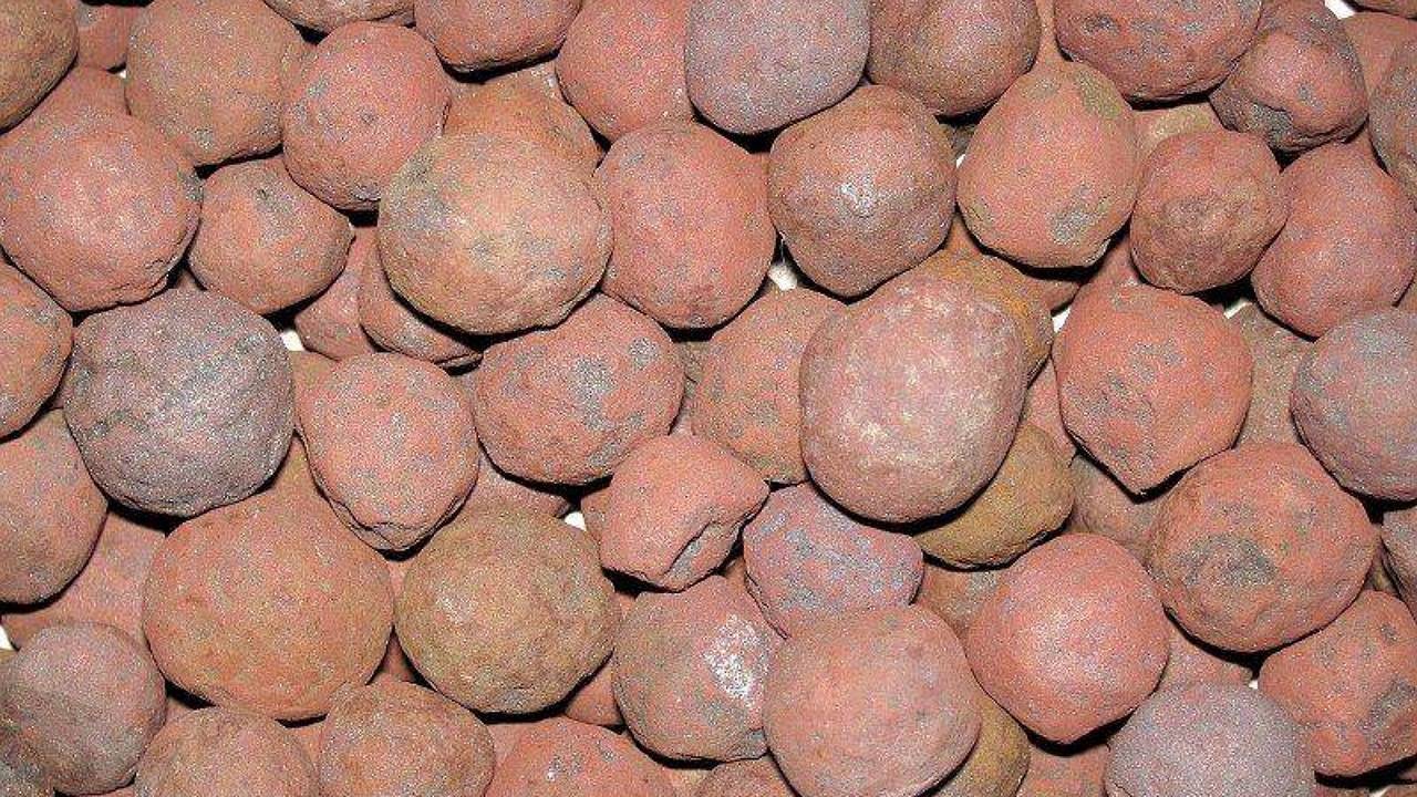کشف بیش از ۴۱ تن گُندله قاچاق به خارج از کشور