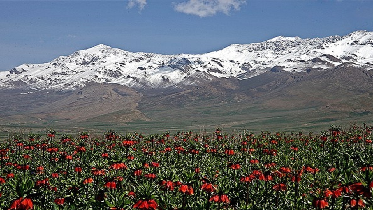 نگاهی به طبیعت بهاری بام ایران در قاب تصاویر