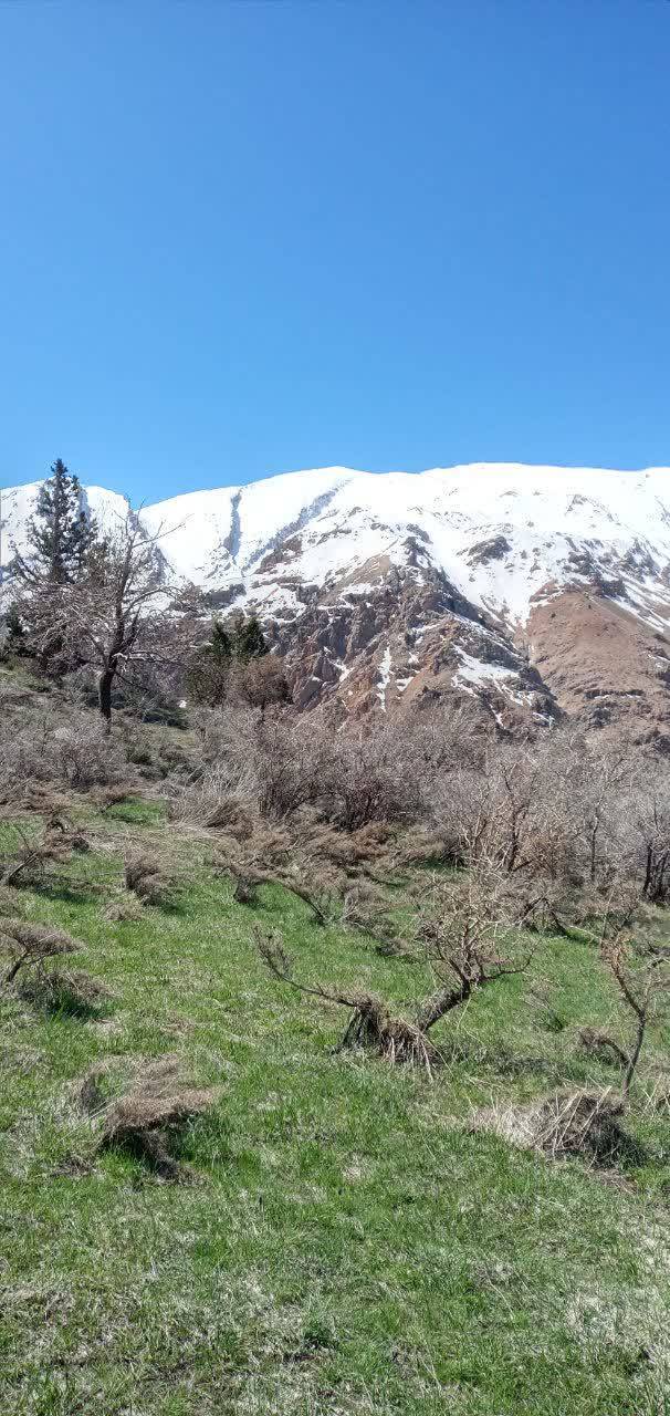 فصل بهار در چهارمحال و بختیاری