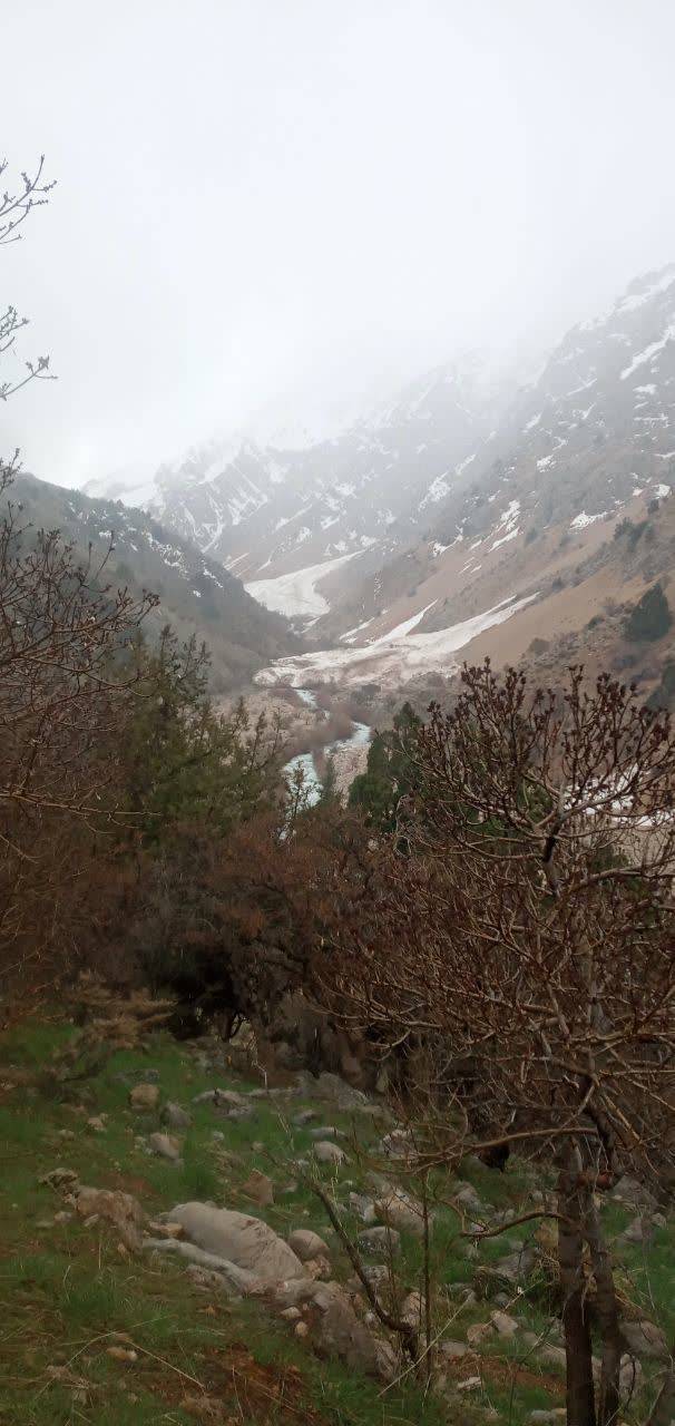 طبیعت بهاری