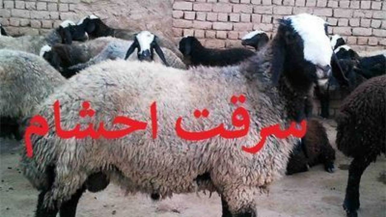 انهدام باند حرفه‌ای سارقان احشام در رفسنجان