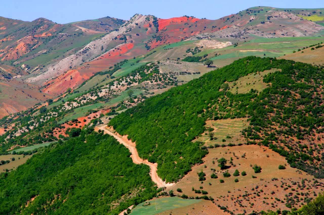 هزار جریب