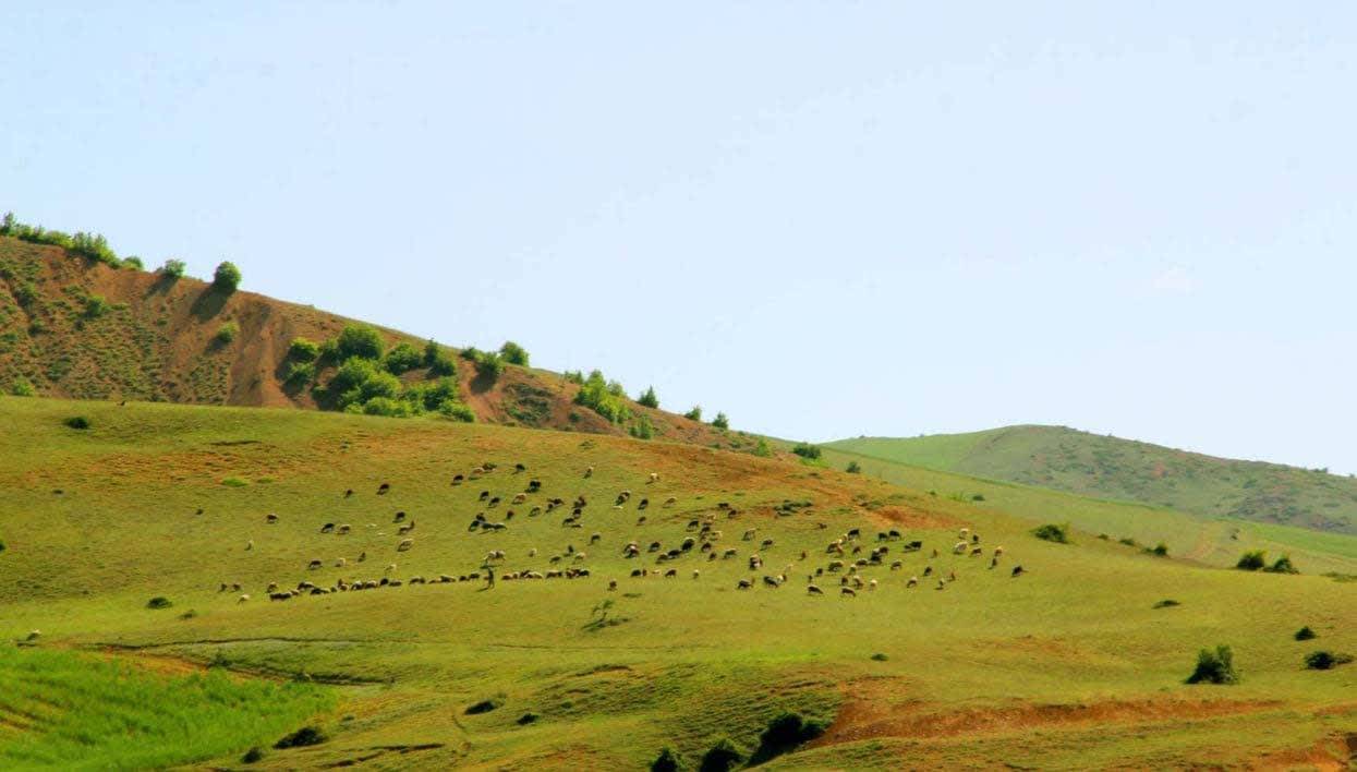 طبیعت