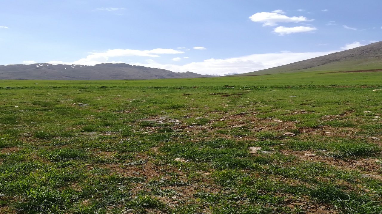 قابی از طبیعت سرسبز روستای دوزان + فیلم