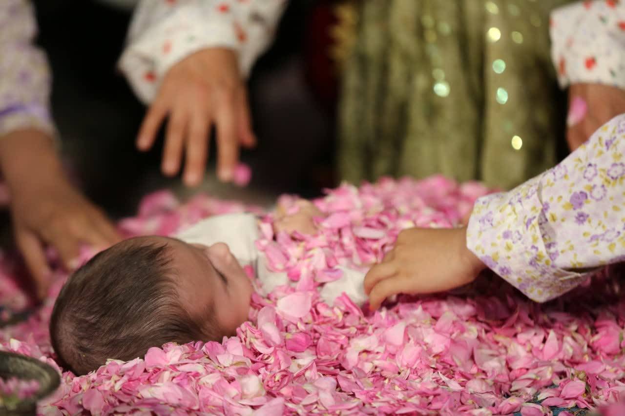 پوشش نوزادان در گل محمدی