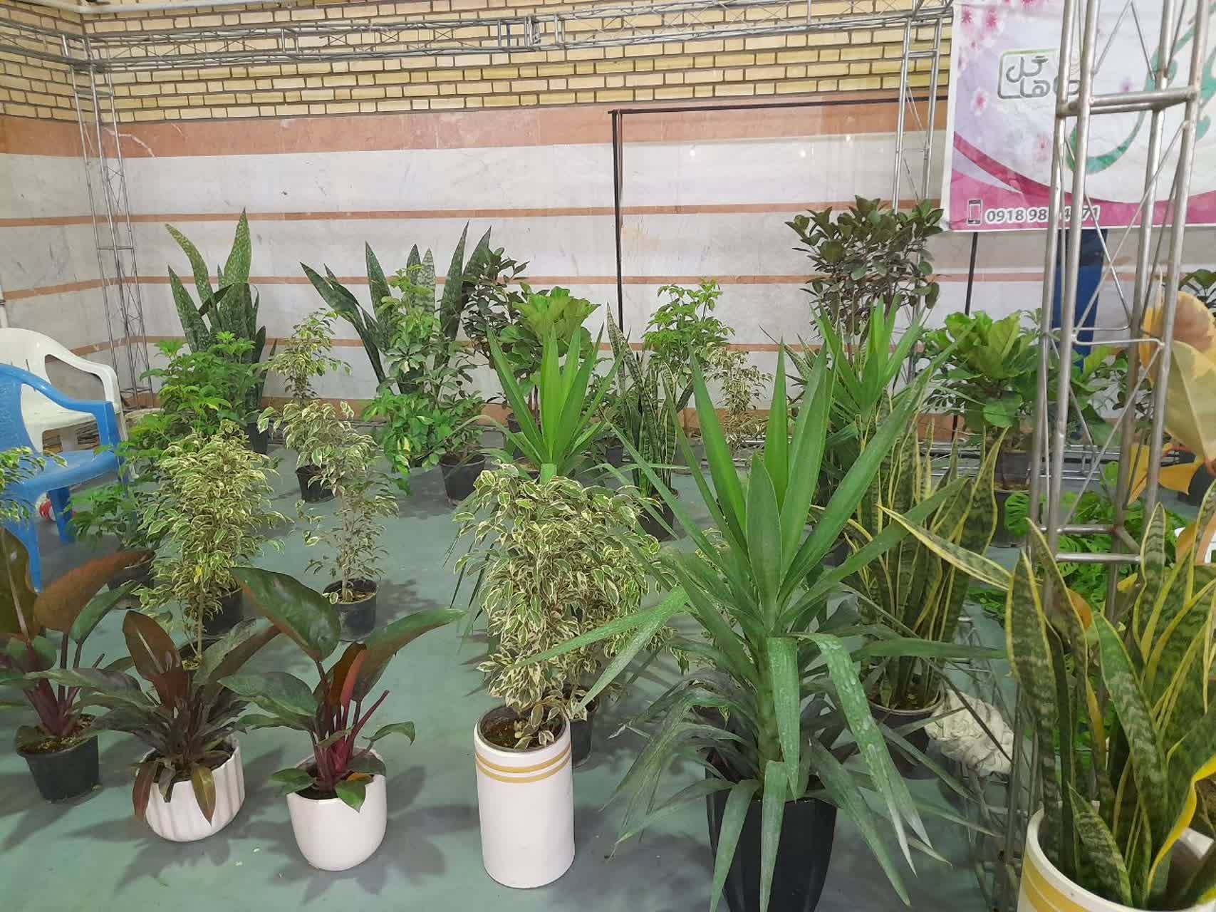 برگزاری نمایشگاه گل و گیاه