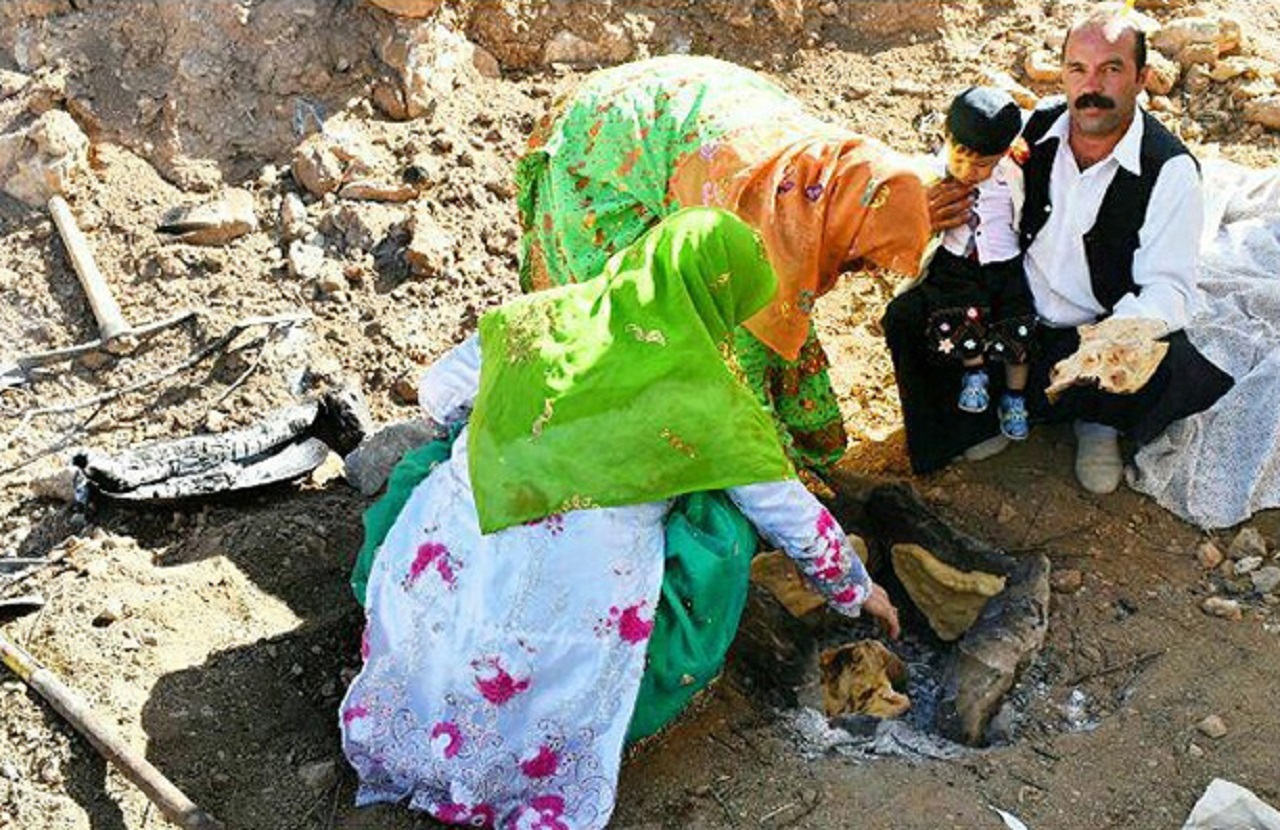 برگزاری آیین سنتی شالورا جاری وبرداشت گل محمدی در چرمهین