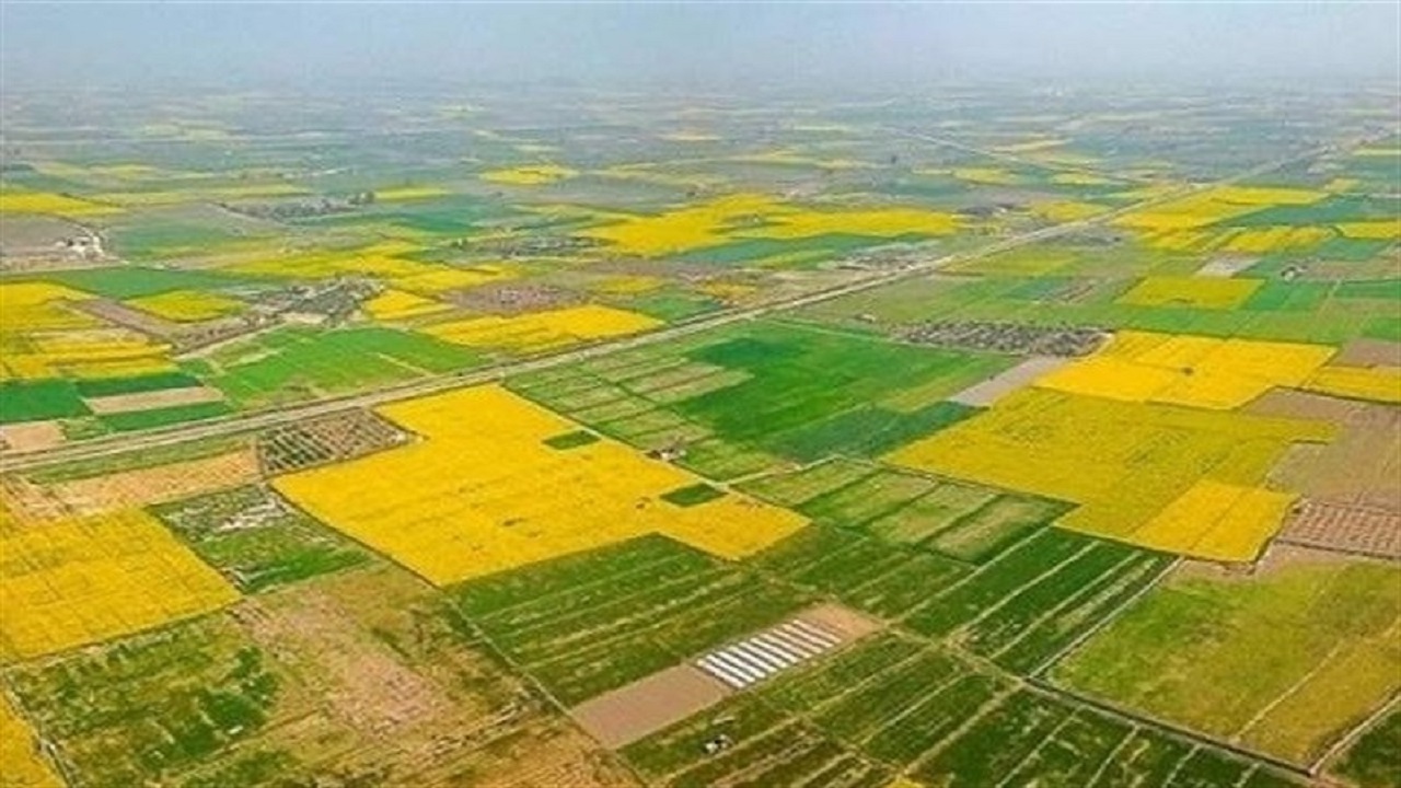 سند دار شدن ۴۰ درصد از اراضی کشاورزی خراسان جنوبی