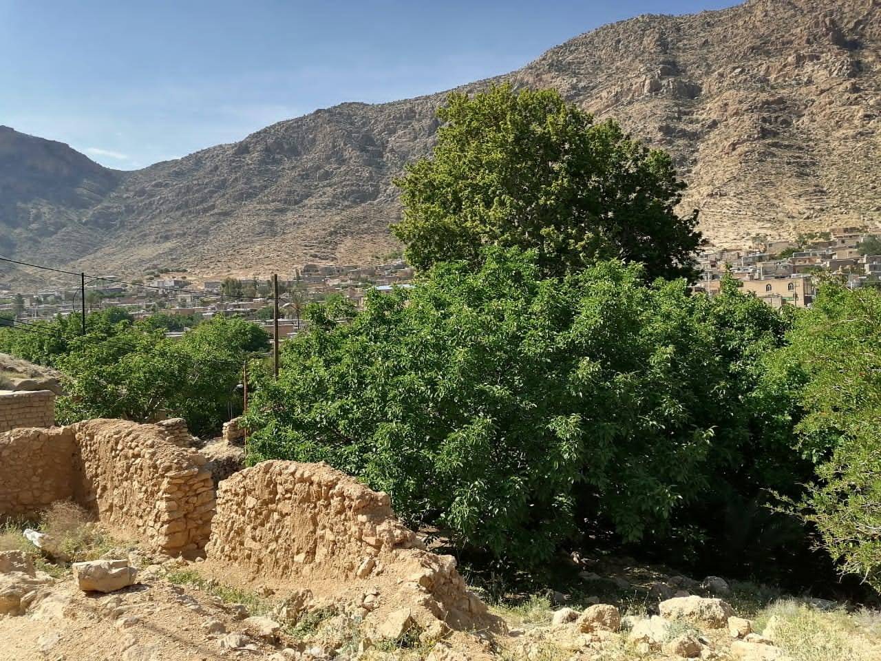 روستای نوایگان داراب