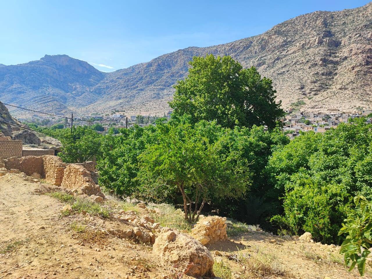 طبیعت روستای نوایگان