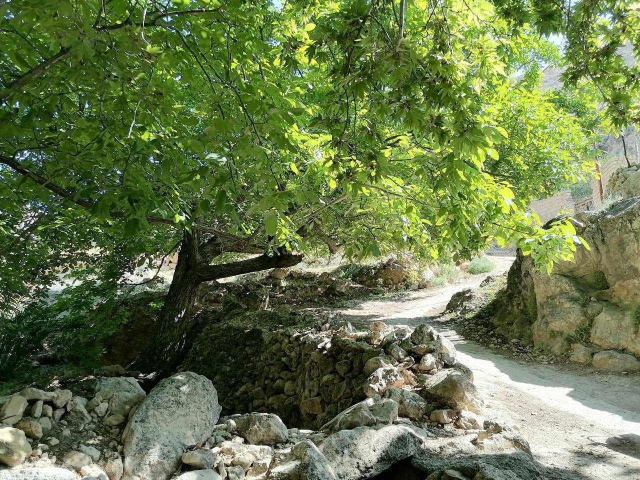 جاذبه های طبیعی