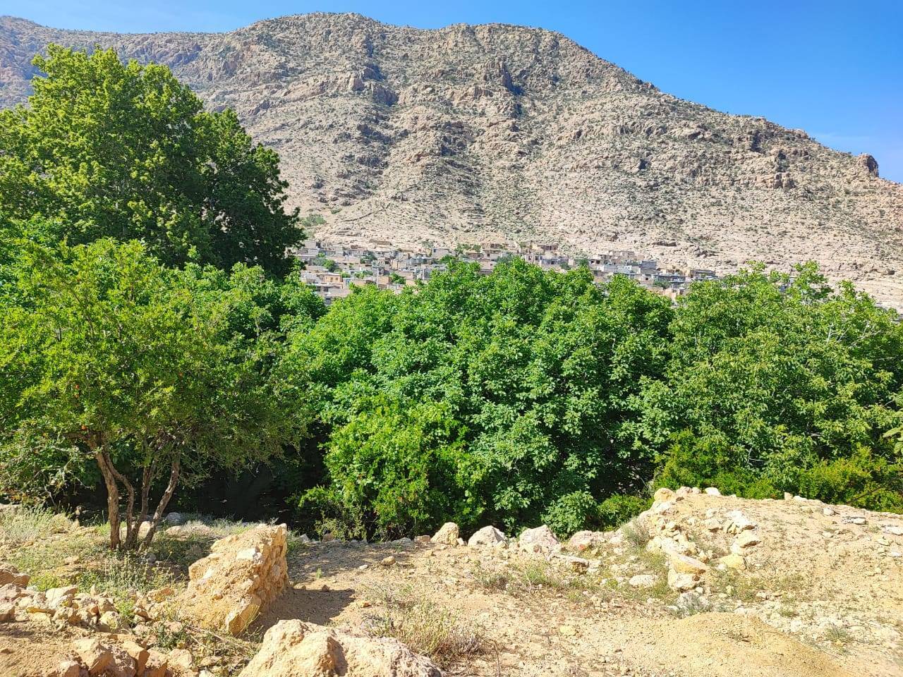 طبیعت روستایی