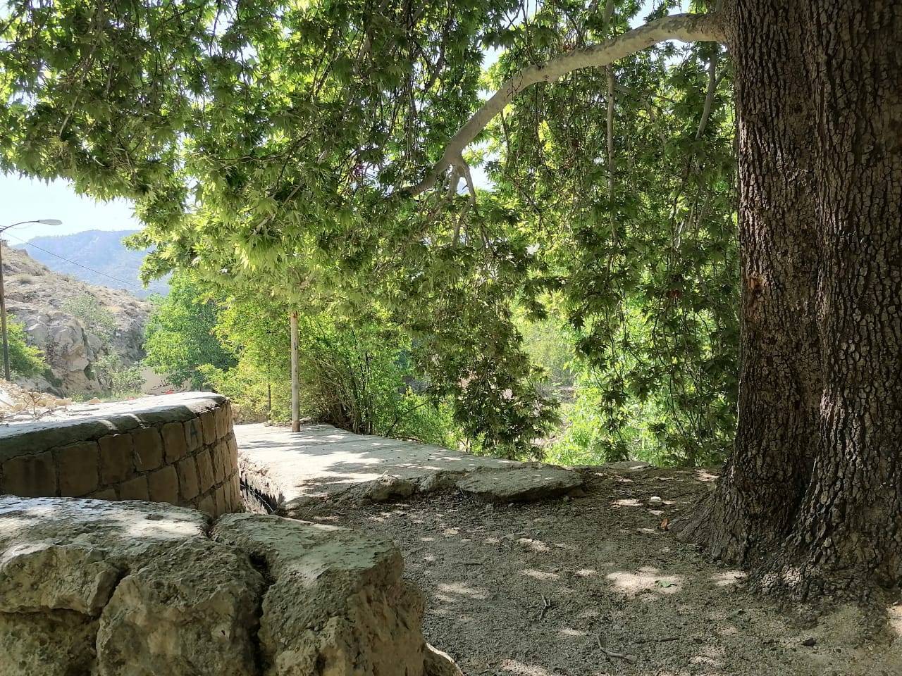 طبیعت