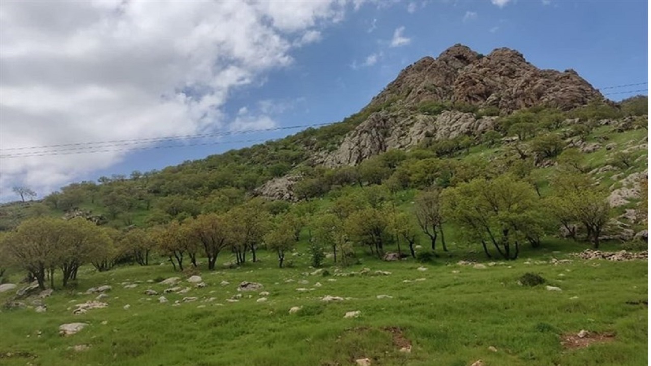 بهار بکر و دل انگیز هورامان + تصاویر