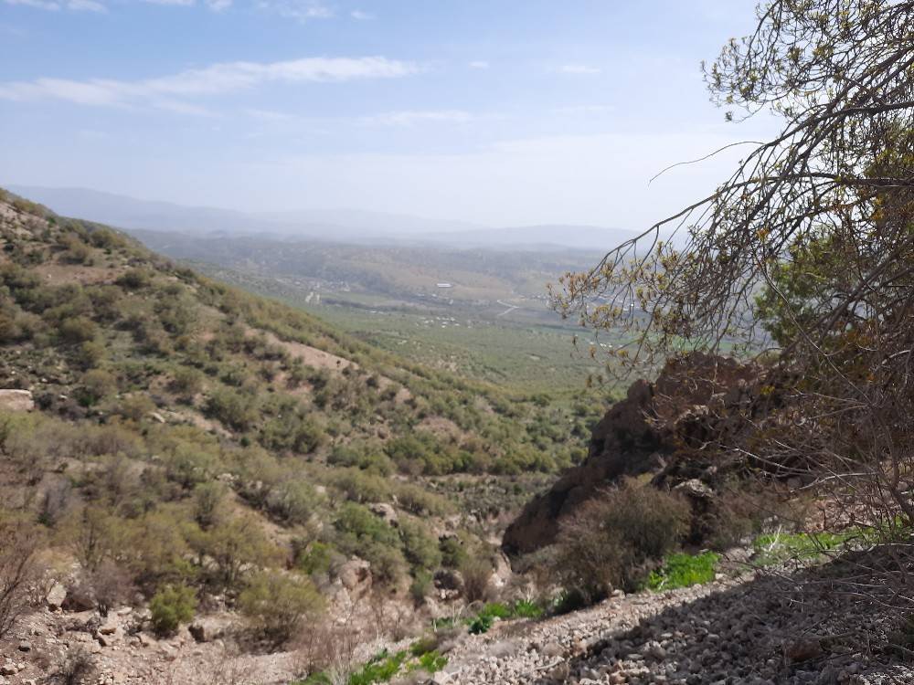منطقه کوهمره سرخی