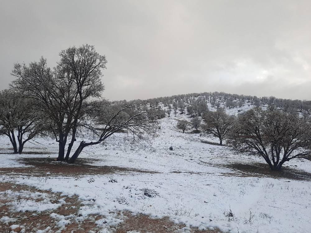 طبیعت زمستانی