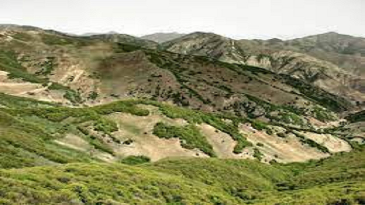 سنگ اندازی‌ها در مسیر سرمایه ‎گذاری در سه شهرستان کلیبر،خداآفرین و هوراند
