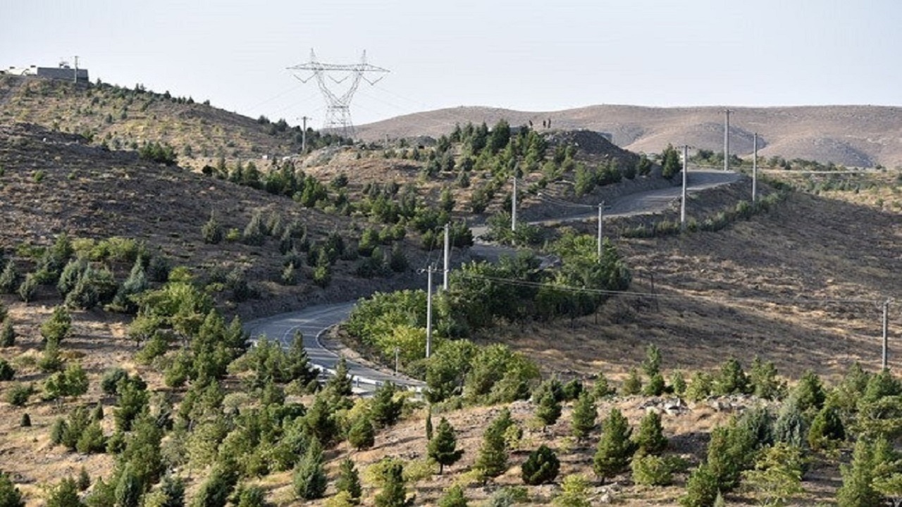 ۹۳۰ هزار گونه کم نیاز آبی در کمربندسبز جنوبی