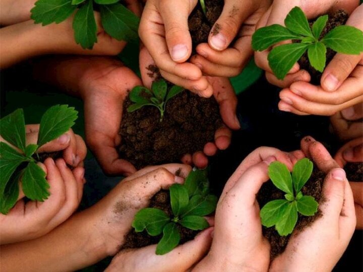 سطح نهالستان های کشور ۲ هزار و ۸۷۰ هکتار است