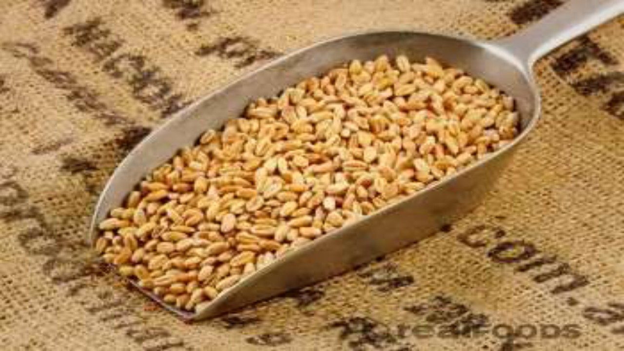 ازبکستان در صدر صادر کنندگان گندم به افغانستان