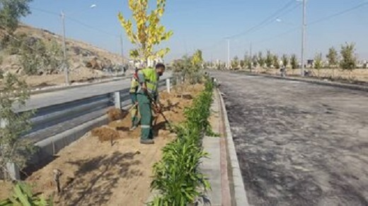 واکاری و کاشت ۲۰ هزار درخت و درختچه در منطقه ۹ اصفهان