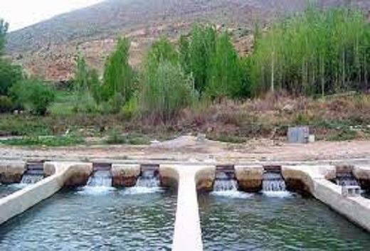 توسعه صنعت آبزی پروری با تولید ۹ هزار تنی ماهی