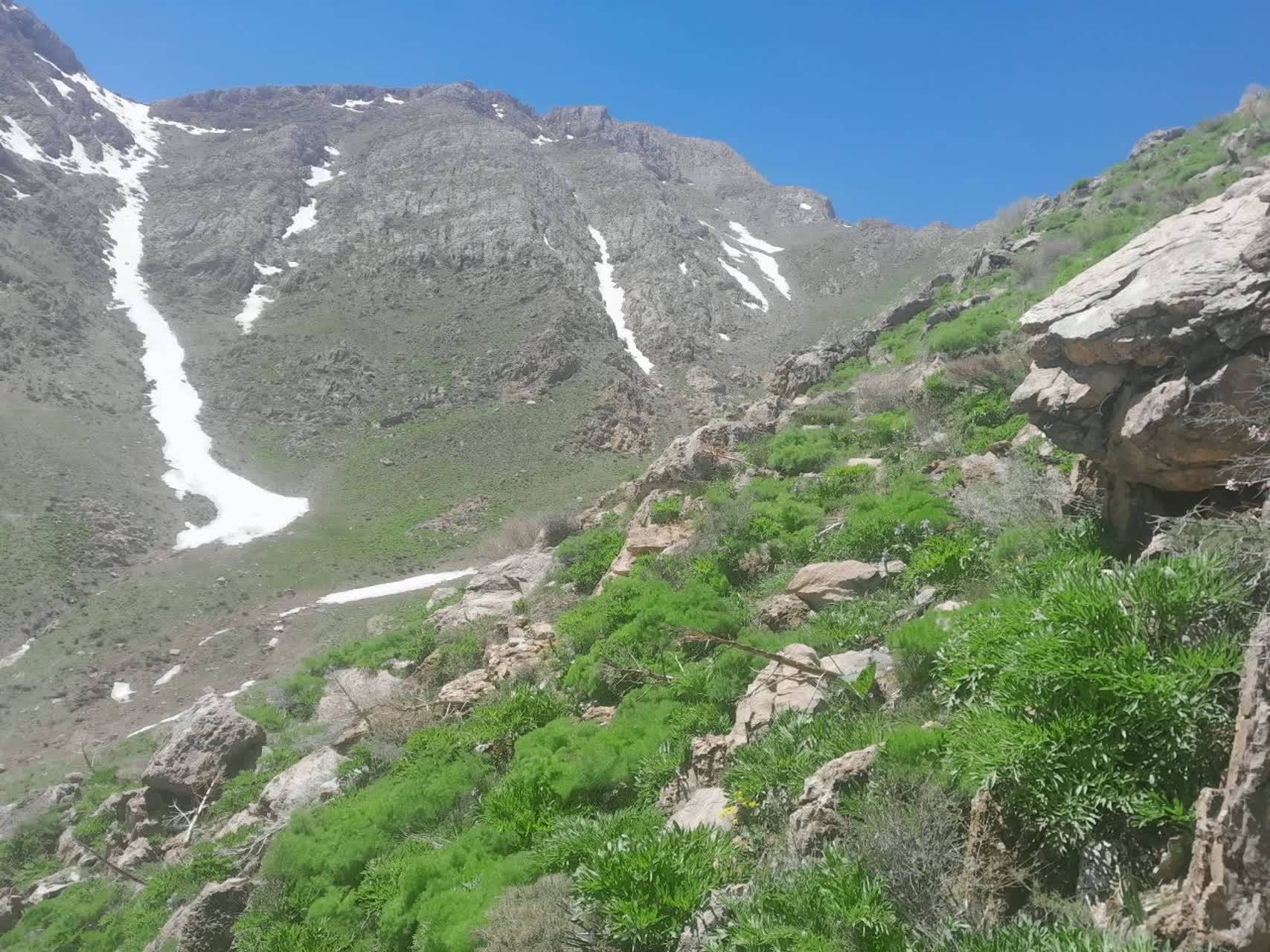 گشت بهاری در روستای بندول گشت بهاری در روستای بندول