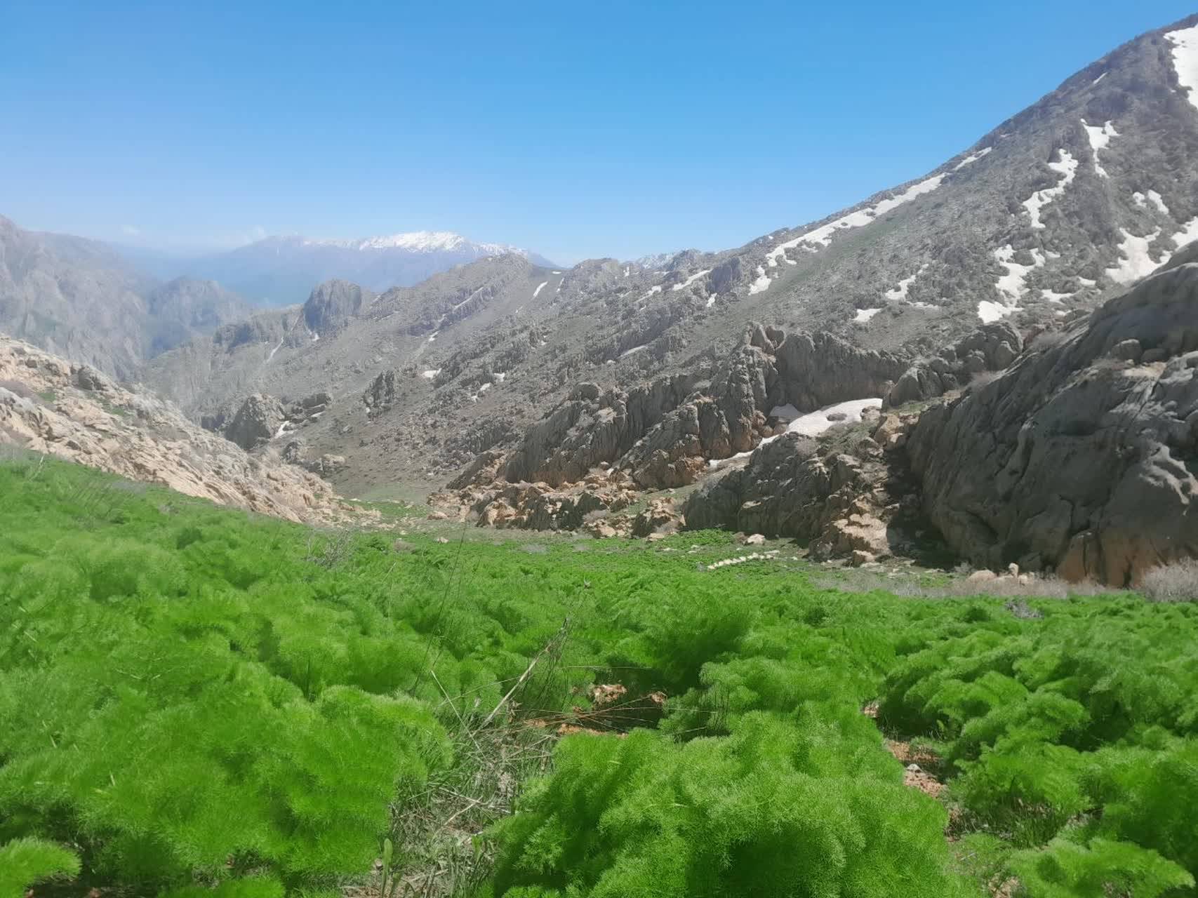 طبیعت بهاری در روستای بندول طبیعت بهاری در روستای بندول