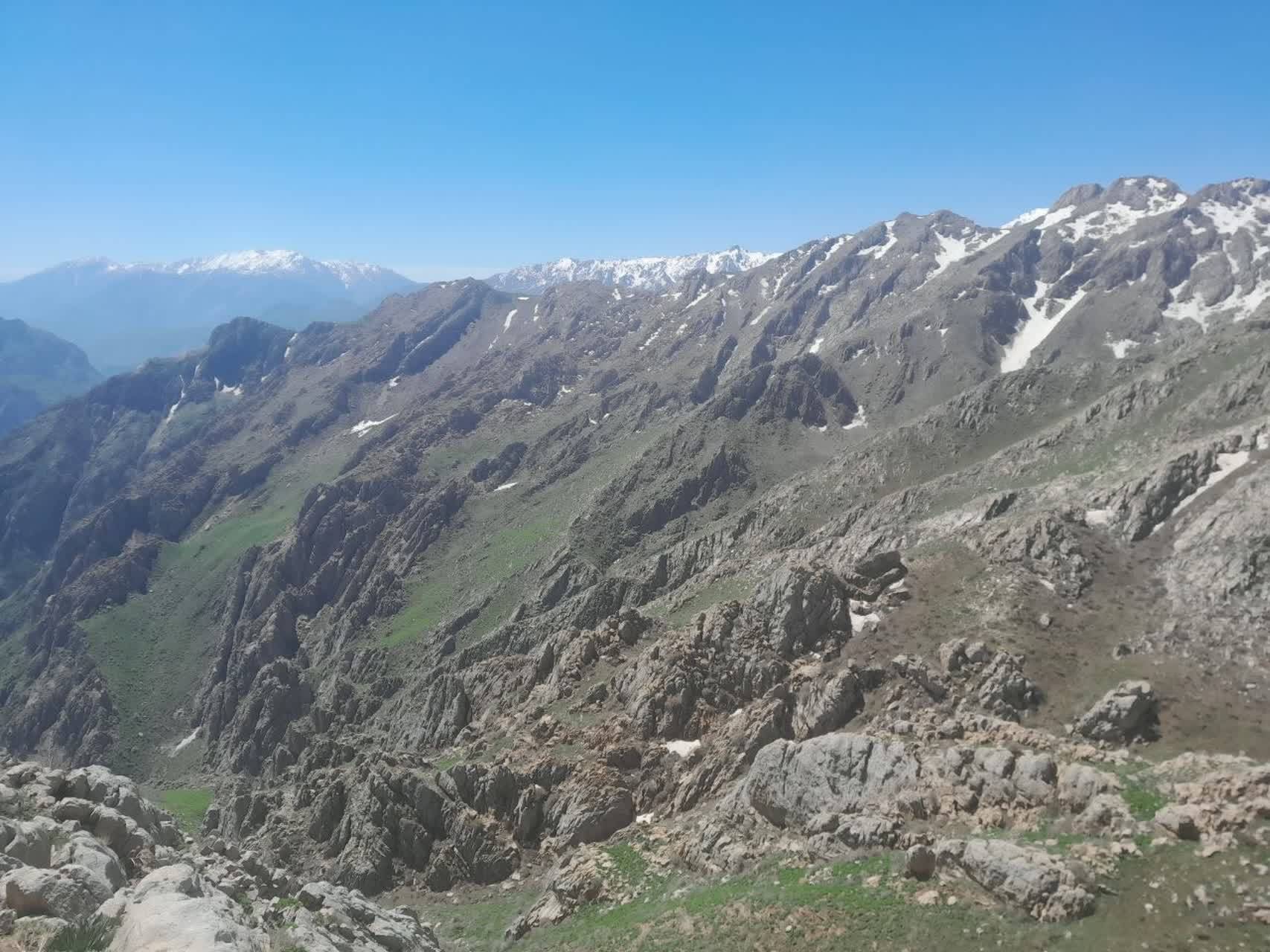 طبیعت بهاری طبیعت بهاری