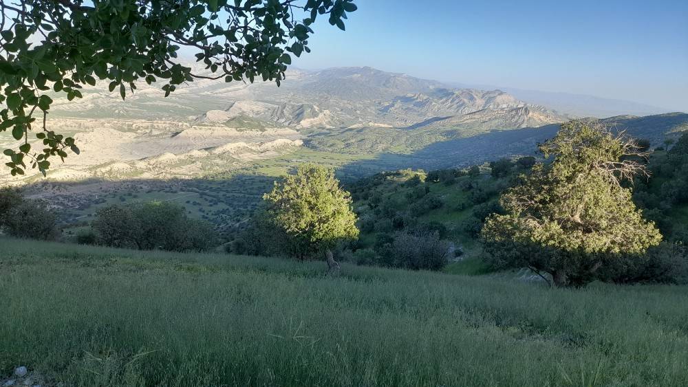 جاذبه گردشگری ایلام