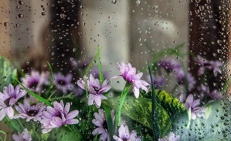 تداوم بارندگی‌های پراکنده در استان یزد