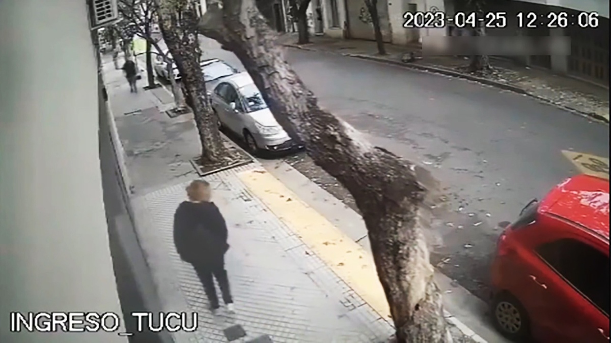 خوش‌شانسی دو موتورسوار از سقوط درخت + فیلم