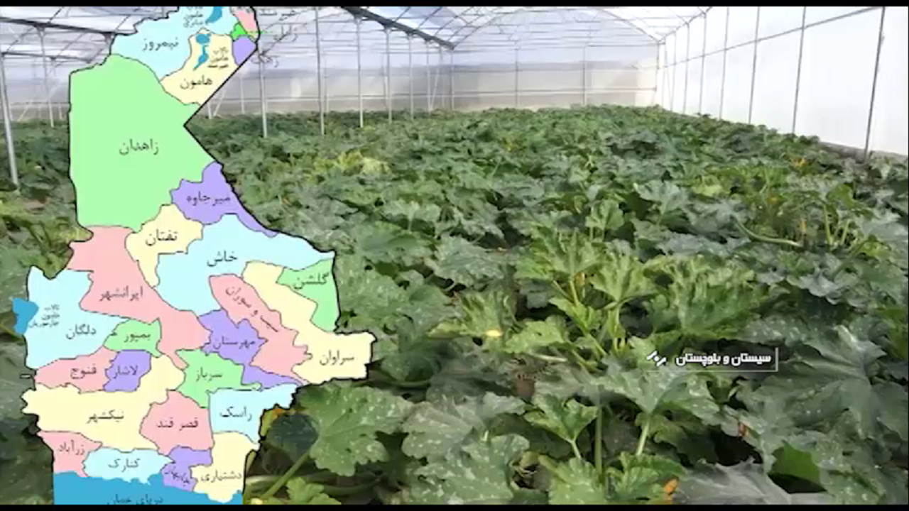 ارتقای ۱۱ هزارتن تولیدات بخش کشاورزی دشتیاری با سرمایه‌گذاری بخش خصوصی