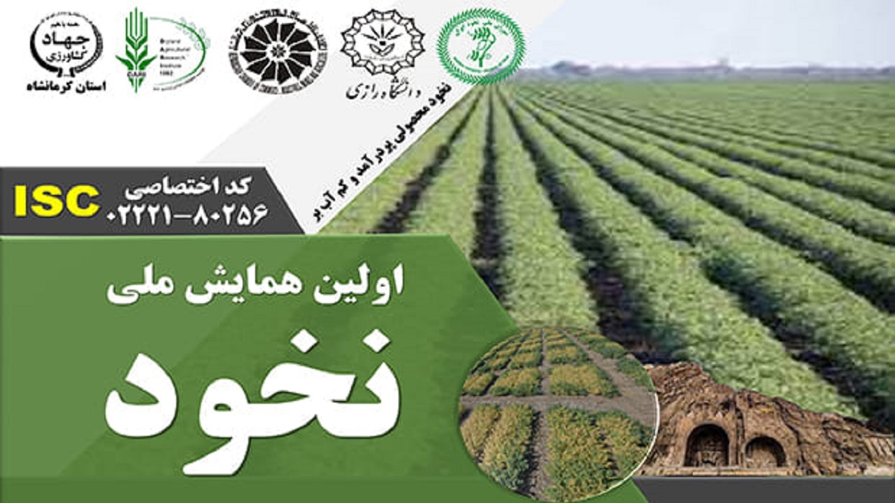 برگزاری اولین جشنواره و همایش ملی نخود به میزبانی کرمانشاه