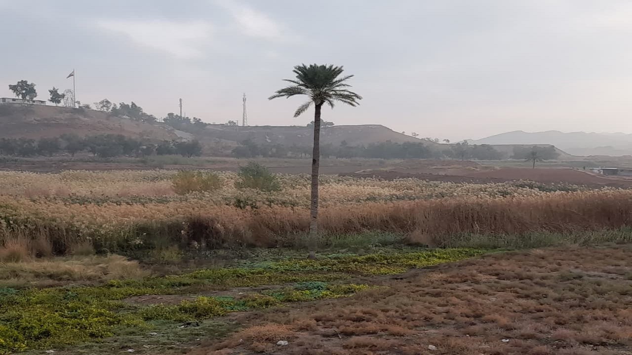 سرعت باد شدید قصرشیرین را فرا گرفت