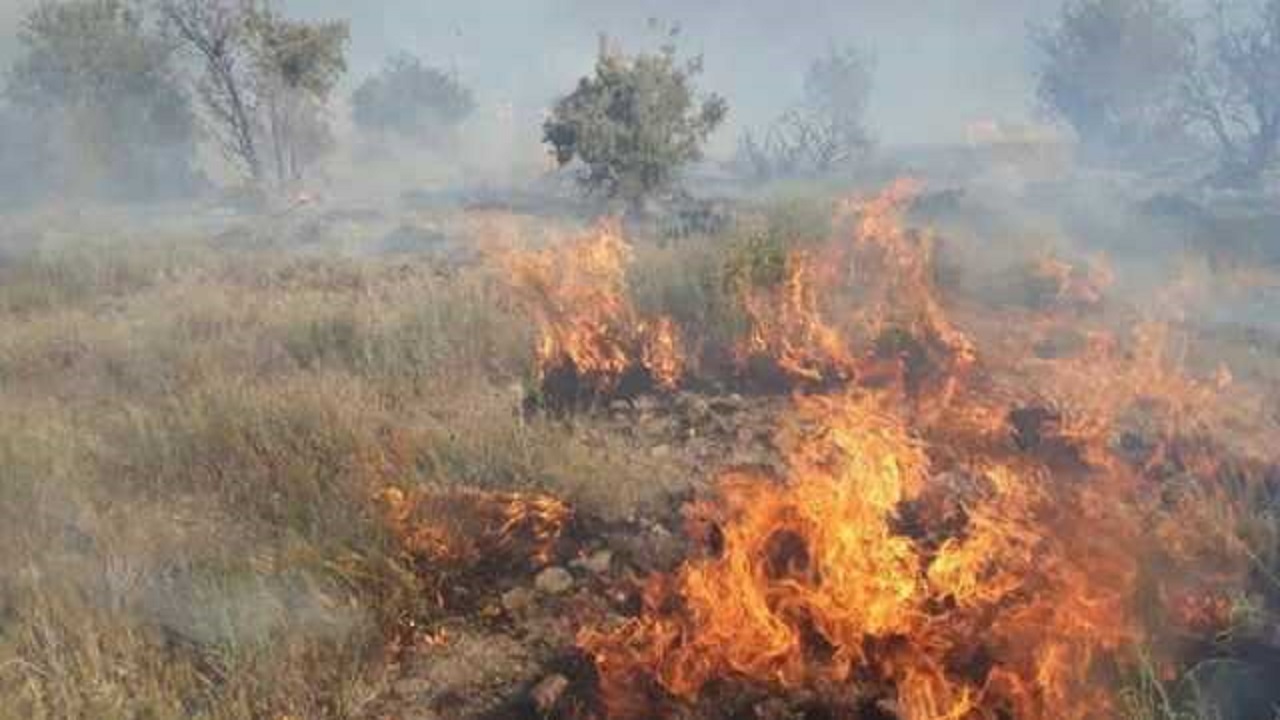 مهار آتش سوزی در ۱۵ هکتار از اراضی روستای غوله