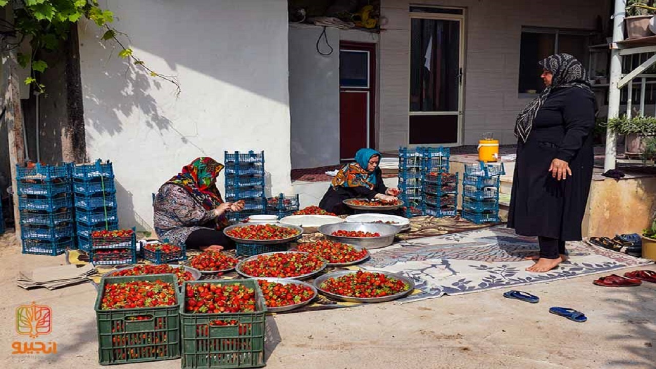 افزایش ۴۹ درصدی اعتبارات مشاغل خانگی در خراسان شمالی