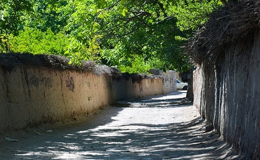 کوچه باغ&zwnj;های قصر دشت شیراز
