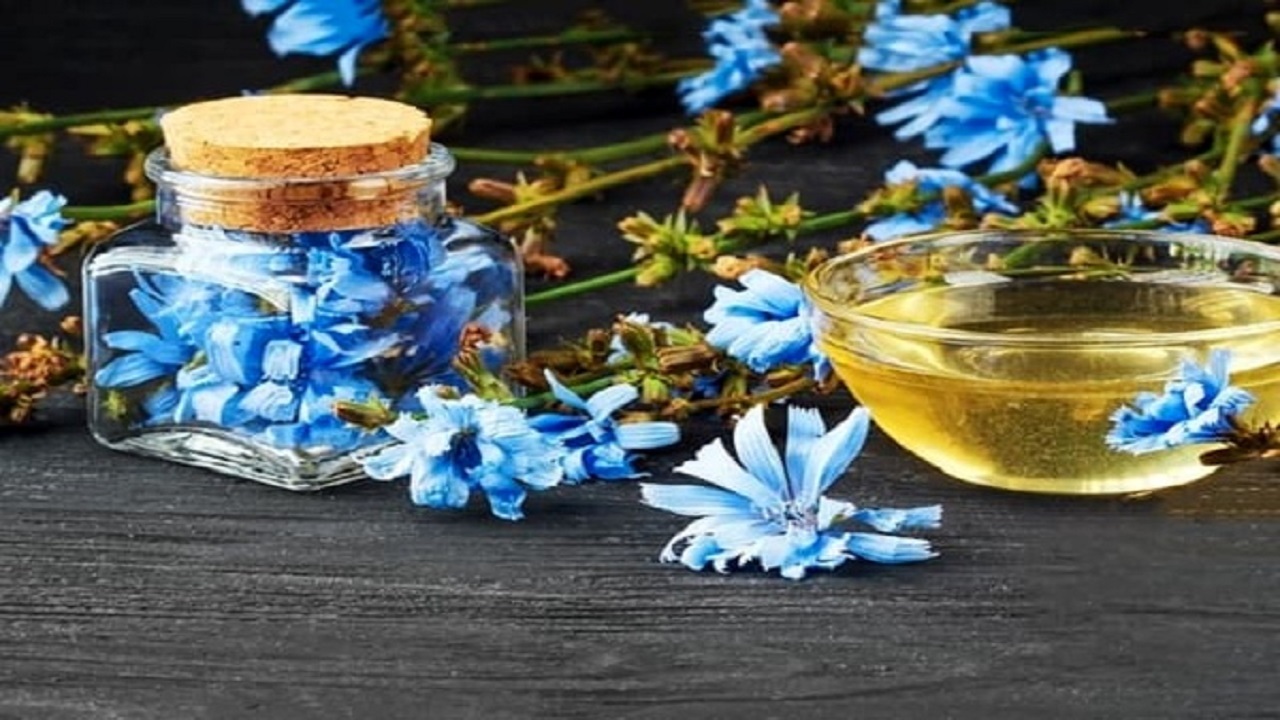 تهیه عرق کاسنی از زبان شهروندخبرنگار نهاوندی + فیلم