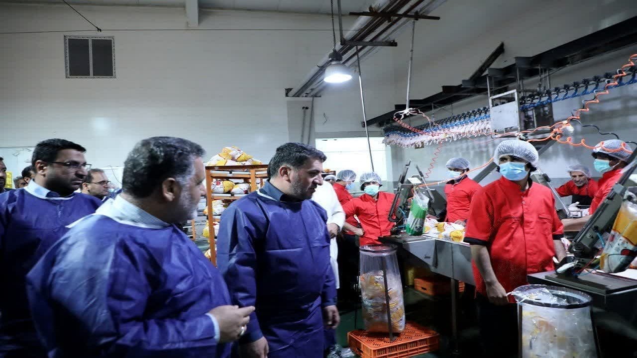 تشدید نظارت بر بازار گوشت استان و برخورد با متخلفان