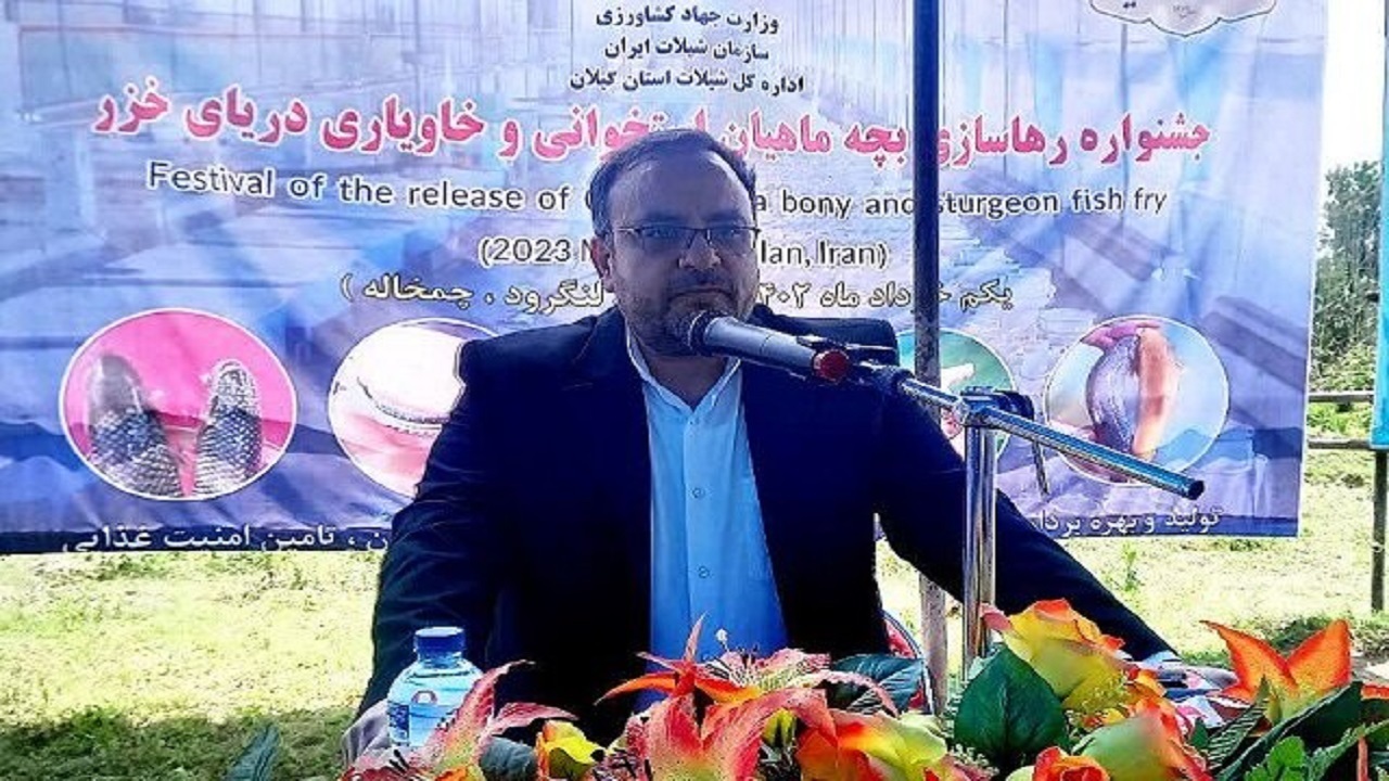 تخصیص ۹۰ میلیارد تومان به بازسازی ذخایر ماهیان استخوانی
