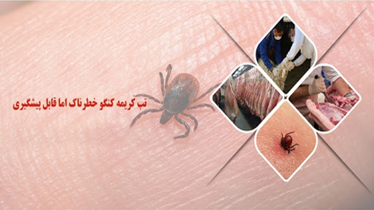 فوت یک بیمار مبتلا به تب کریمه کنگو در فارس