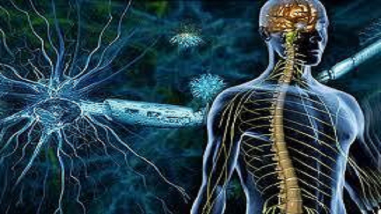 استرس‌های روحی و تغذیه سبب شیوع بیشتر بیماری ام اس می شود