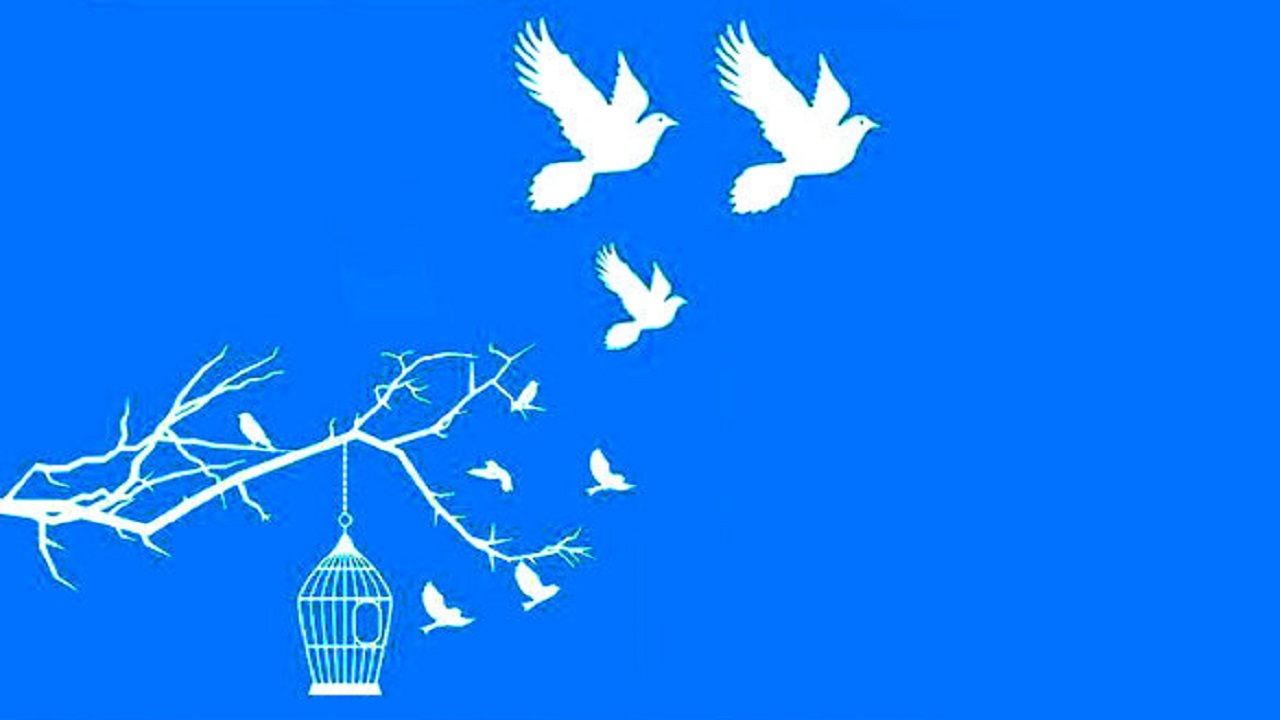 آزادی ۵۱ زندانی به حرمت امام رئوف در بهبهان